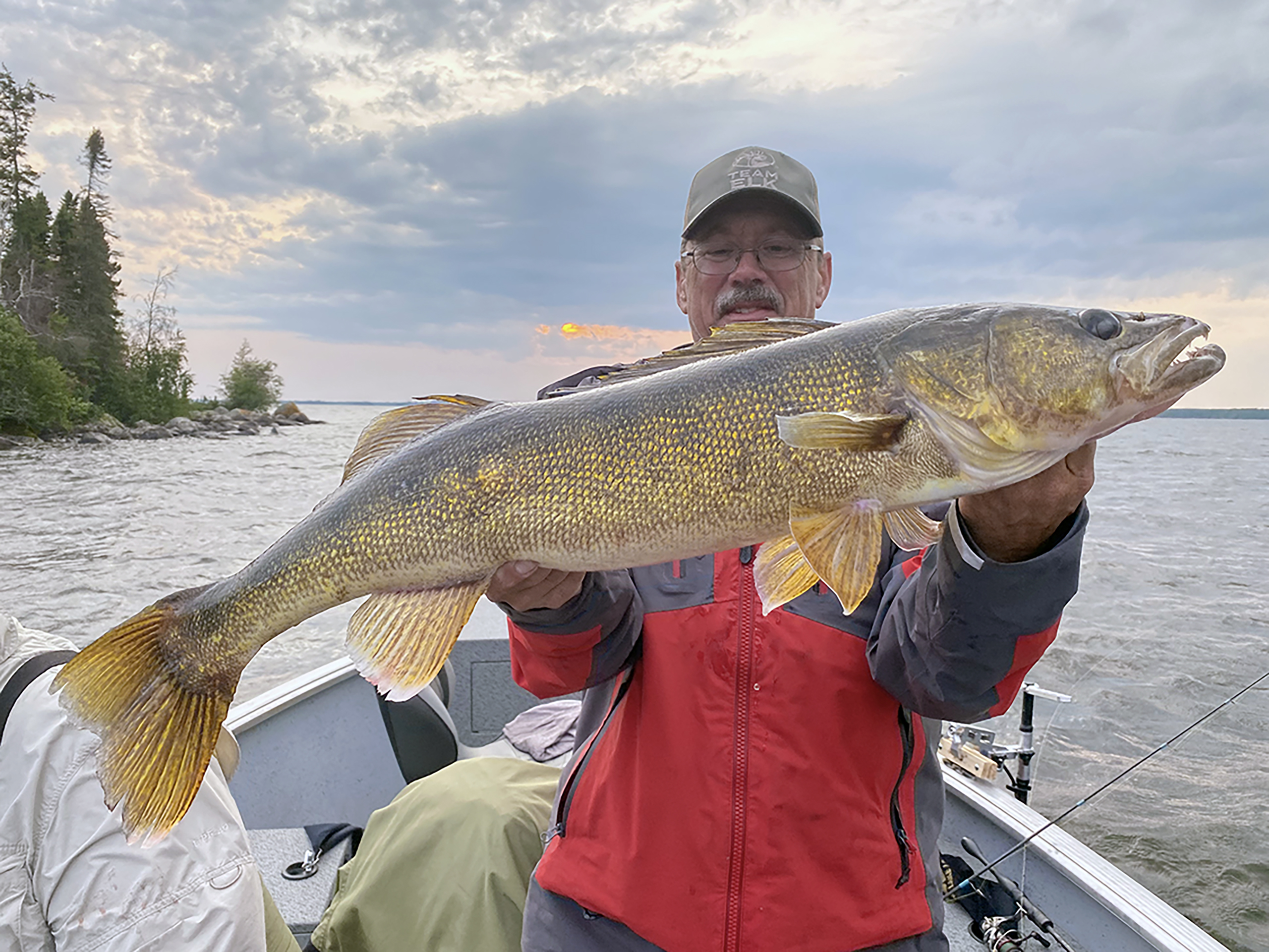 33.25 inch Gunisao Walleye